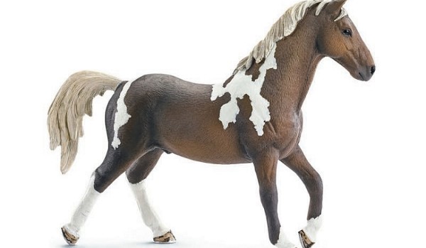 Czy jesteś prawdziwym kolekcjonerem figurek koni?