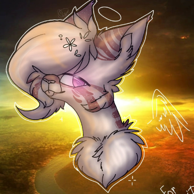 Kocham_Warriorcats
