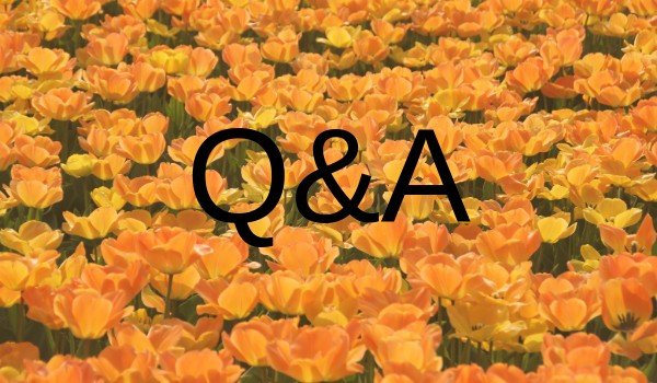 Q&A #2