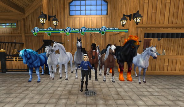 Czy znasz wszystkie rasy koni na Star Stable Online?