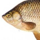 Pani_karasiowa