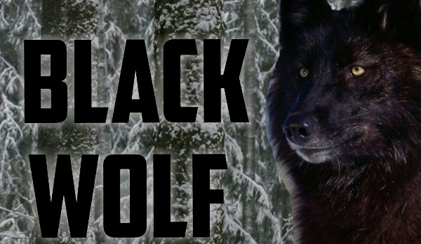 Black Wolf #5