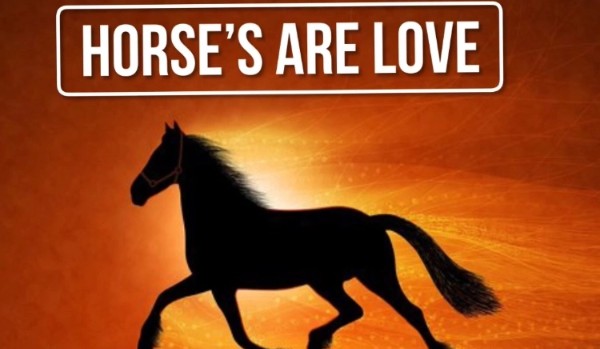 Horse’s are love #2