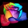 _olgix_64_
