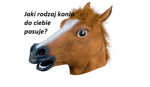Jaki rodzaj konia do ciebie pasuje?