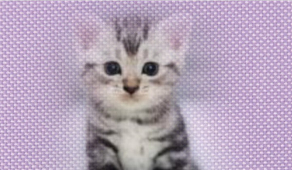 Ocena profilu @Hearts