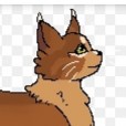 WarriorCatsLivva192