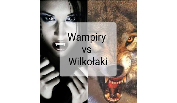 Wampiry vs Wilkołaki #7