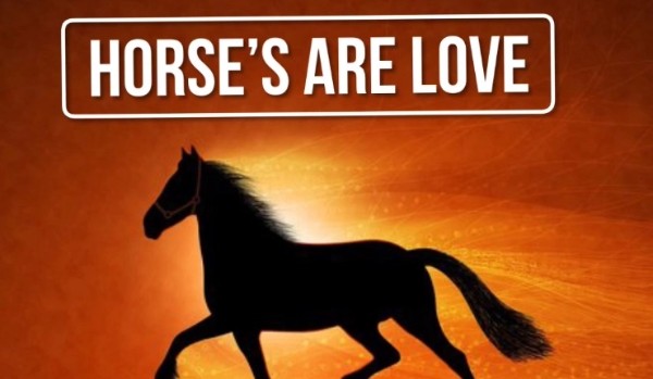 Horse’s are love #1