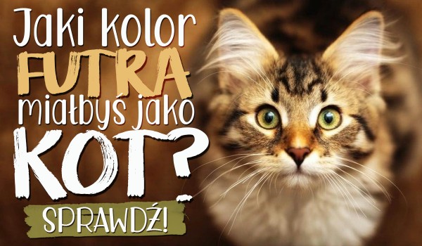 Jaki kolor futra mógłbyś mieć jako kot?