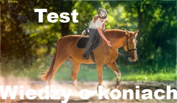 Test wiedzy o koniach