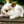 CuteRabbit