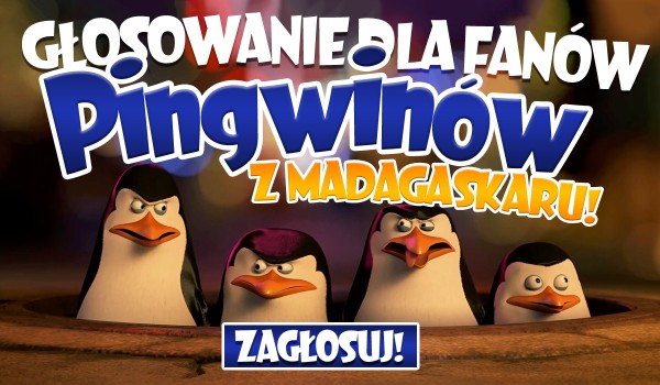Głosowanie dla fanów „Pingwinów z Madagaskaru”!