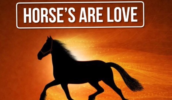 Horse’s are love #5