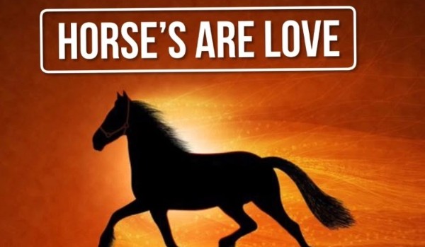 Horse’s are love #7