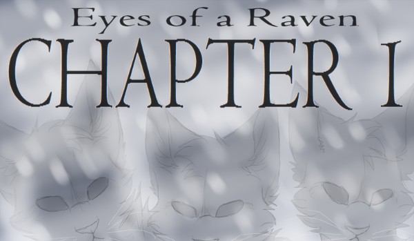 Wojownicy-Oczami Raven *tłumaczenie* #Rozdział 1 cz.1