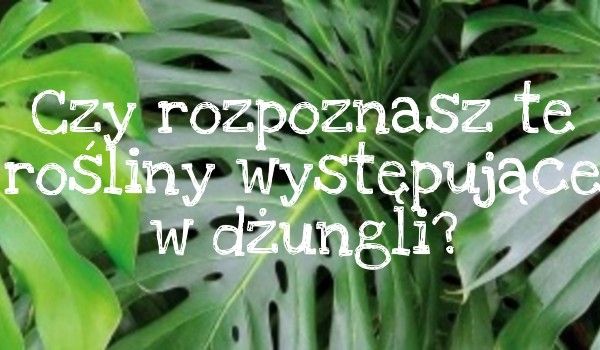 Czy rozpoznasz te rośliny występujące w dżungli?