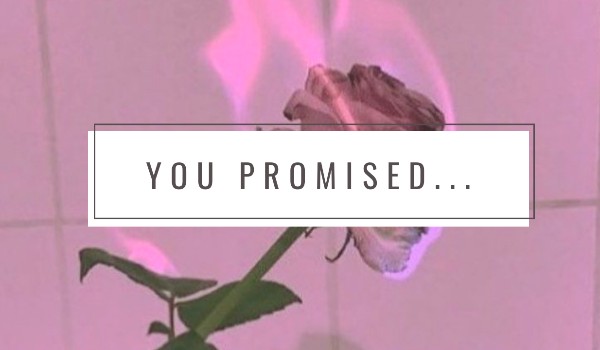 You Promised…