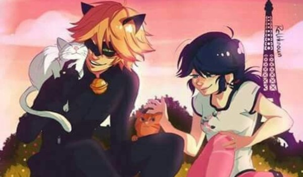 Spotkanie z Biedronką #6