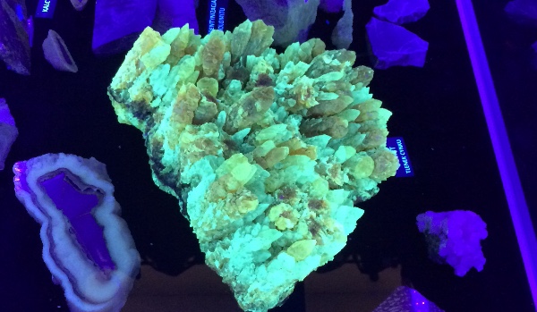 Gdzie znajdziesz Diamenta a jak tak to jakiego?