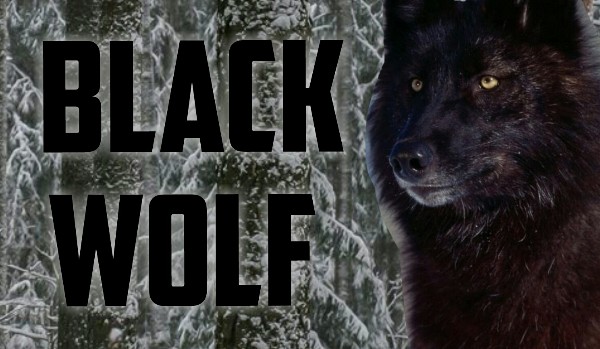 Black Wolf #4