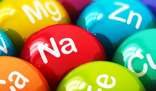 Składniki Odżywcze  TEST