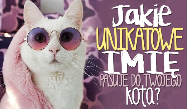 Jakie unikatowe imię pasuje do Twojego kota?