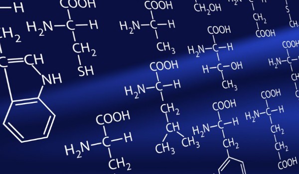 Szybki test o aminokwasach!