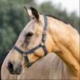 ..Horses-God..