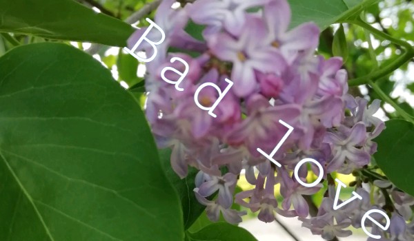Bad love #1