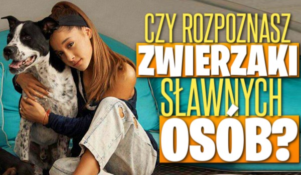 Czy rozpoznasz zwierzaki sławnych osób?