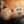 Moon_Foxey