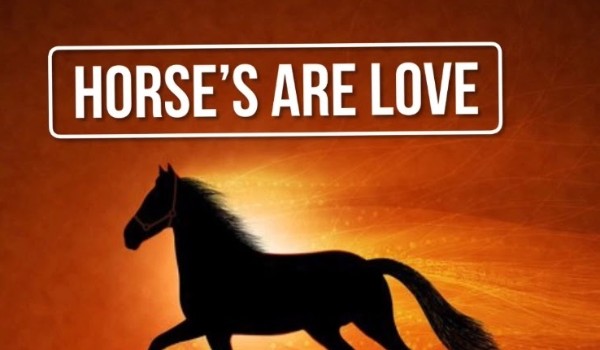 Horse’s are love #8 – Upadek