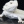 https.animal
