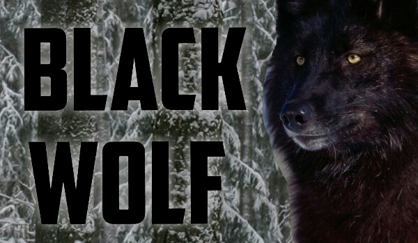 Black Wolf #9