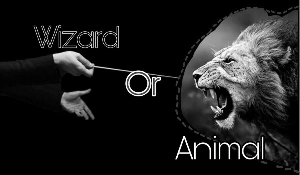 Wizard, or animal?