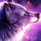 Galaxy_Kotek