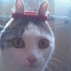spawnofsatan