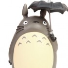 Totoro-Chan456