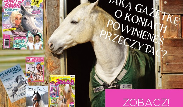 Jaką gazetkę o koniach powinieneś przeczytać?