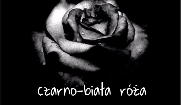 Czarno-biała róża ~2