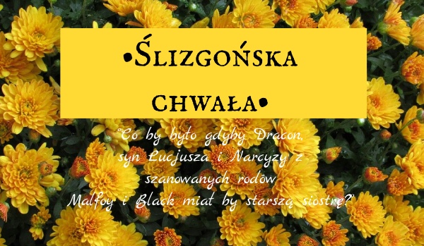 •Ślizgońska chwała•