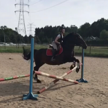 Equestrian.forever