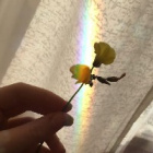Kolor_xxx
