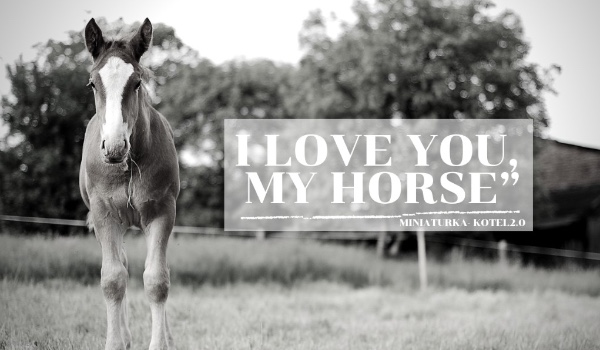 I love you, my horse – one shot