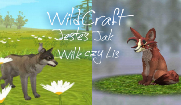 WildCraft : Jesteś jak wilk czy lis??