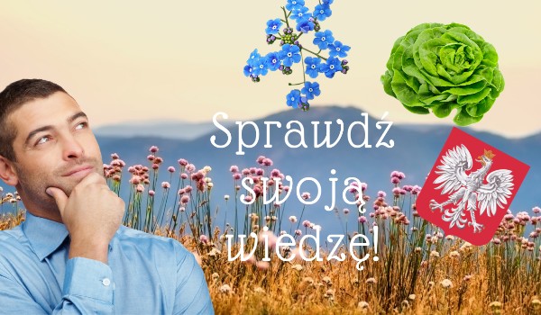 Jaki jest narodowy kwiat Polski?