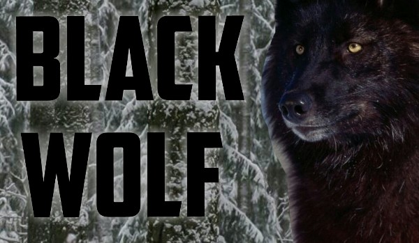 Black Wolf #10 Koniec