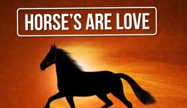 Horse’s are love #9
