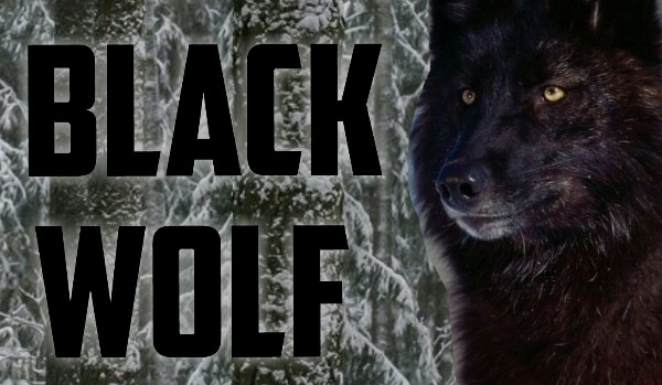 Black Wolf #8